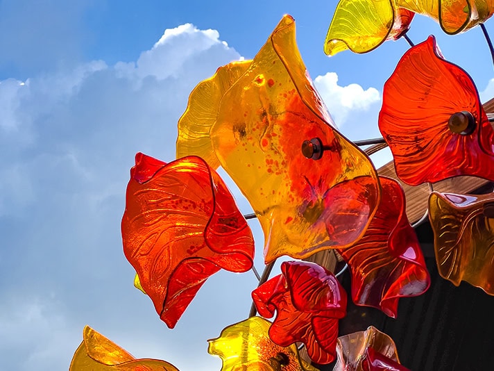Gardens of Glass: The Art of Craig Mitchell Smith | Museum of the